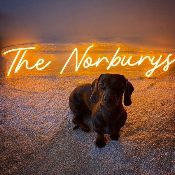 Personalized Last Name Led Sign